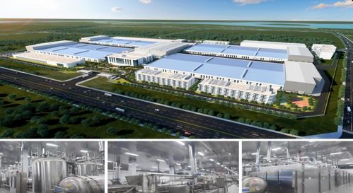 濟(jì)寧市2023年下半年綠色低碳高質(zhì)量發(fā)展現(xiàn)場(chǎng)觀摩會(huì) 無窮食品泗水生產(chǎn)基地建設(shè)項(xiàng)目