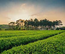 宜興西渚鎮(zhèn)網(wǎng)站建設(shè) 探索智慧鄉(xiāng)鎮(zhèn)發(fā)展的新路徑與未來(lái)展望