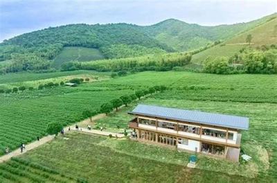 數(shù)字化治理新篇章 從宜興西渚鎮(zhèn)網(wǎng)站建設(shè)到高塍鎮(zhèn)2025年政府網(wǎng)站焦點(diǎn)